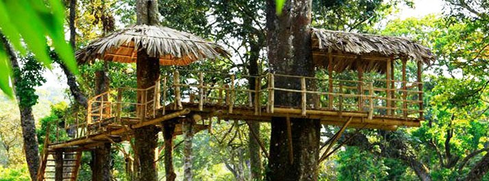 95/Eletaria Resort - Thekkady 06.jpg